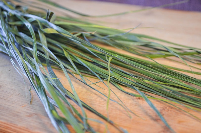 Dried Sweetgrass Certified Organic Hierochloe odorata Etsy