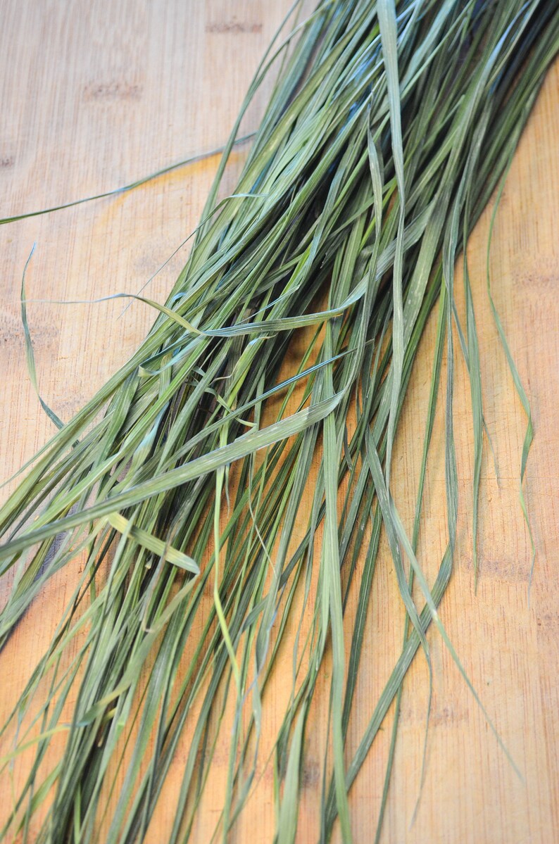 Dried Sweetgrass Certified Organic Hierochloe odorata Etsy