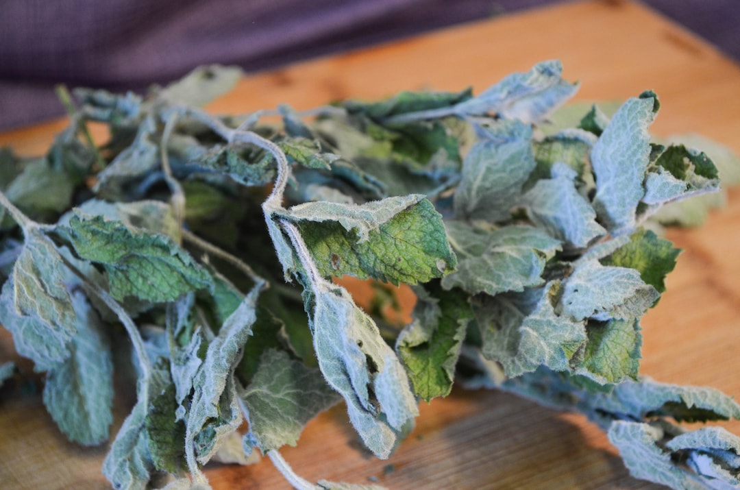 Dried Apple Mint Certified Organic Mint Herbal Tea Dried Etsy