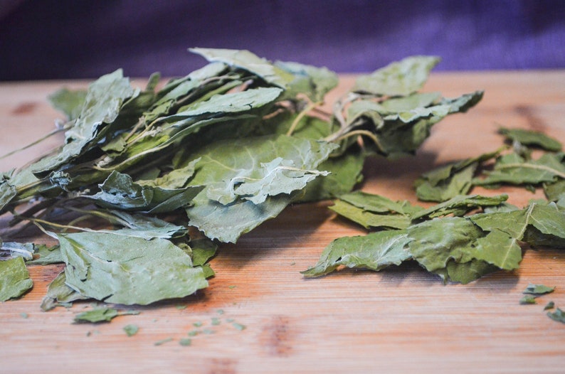 Puede incluir: Hojas verdes secas sobre una tabla de cortar de madera. Las hojas son de varios tama&ntilde;os y formas, algunas a&uacute;n unidas a los tallos. El fondo es de color p&uacute;rpura borroso.