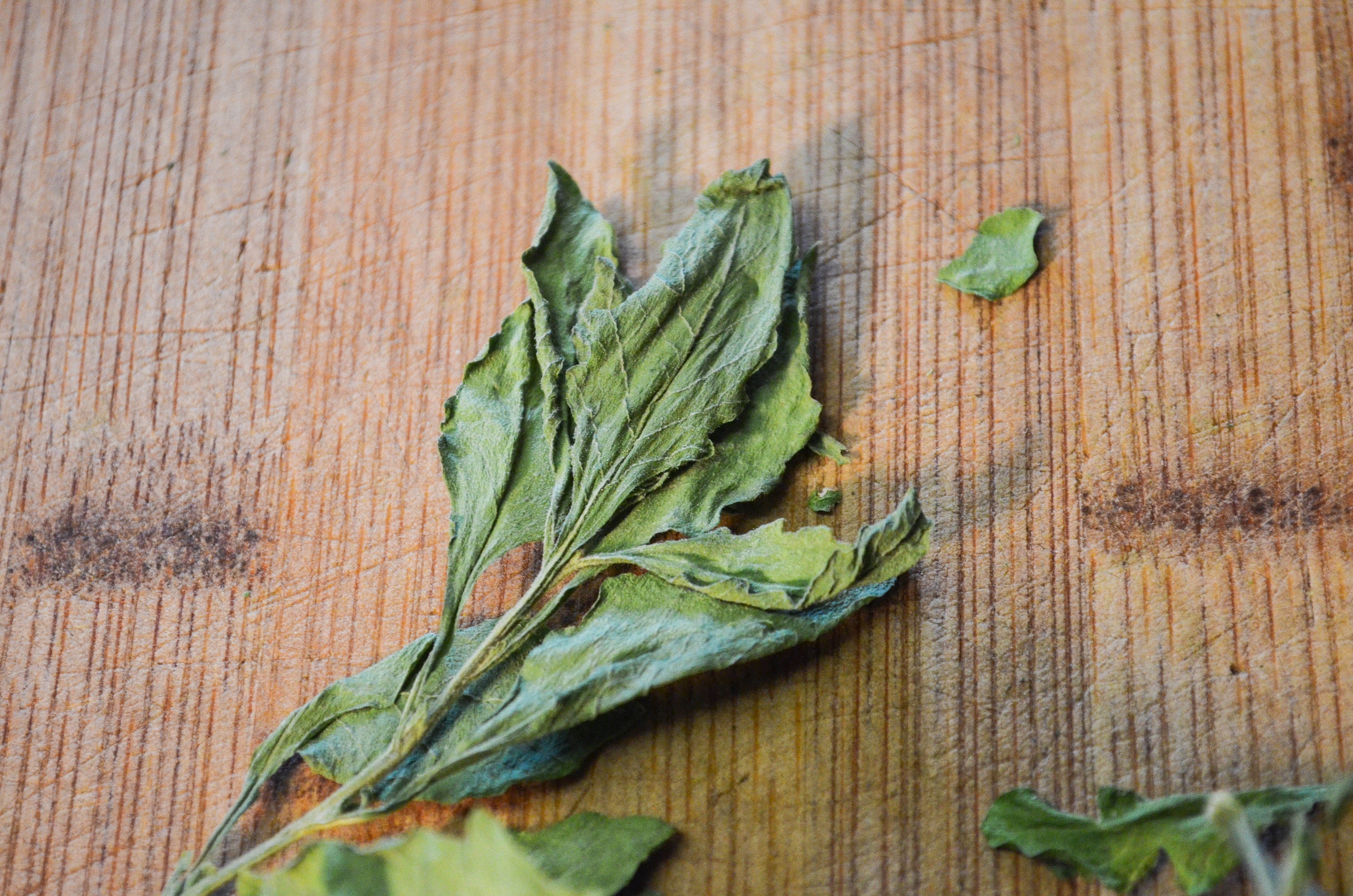 Dried Epazote Certified Organic Dried Herbs Culinary Etsy 日本