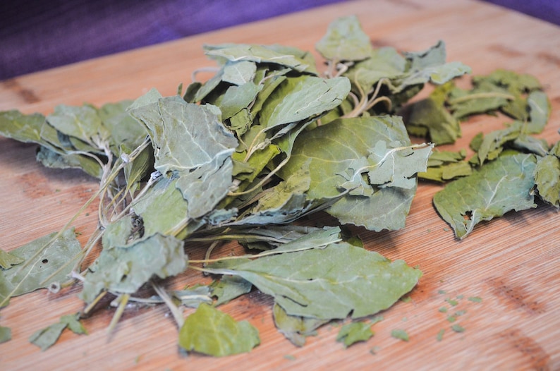 Puede incluir: Primer plano de hojas verdes secas, posiblemente hierbas o especias, dispuestas sobre una tabla de cortar de madera. Las hojas tienen un aspecto descolorido, con venas visibles. Fondo de tela morada.