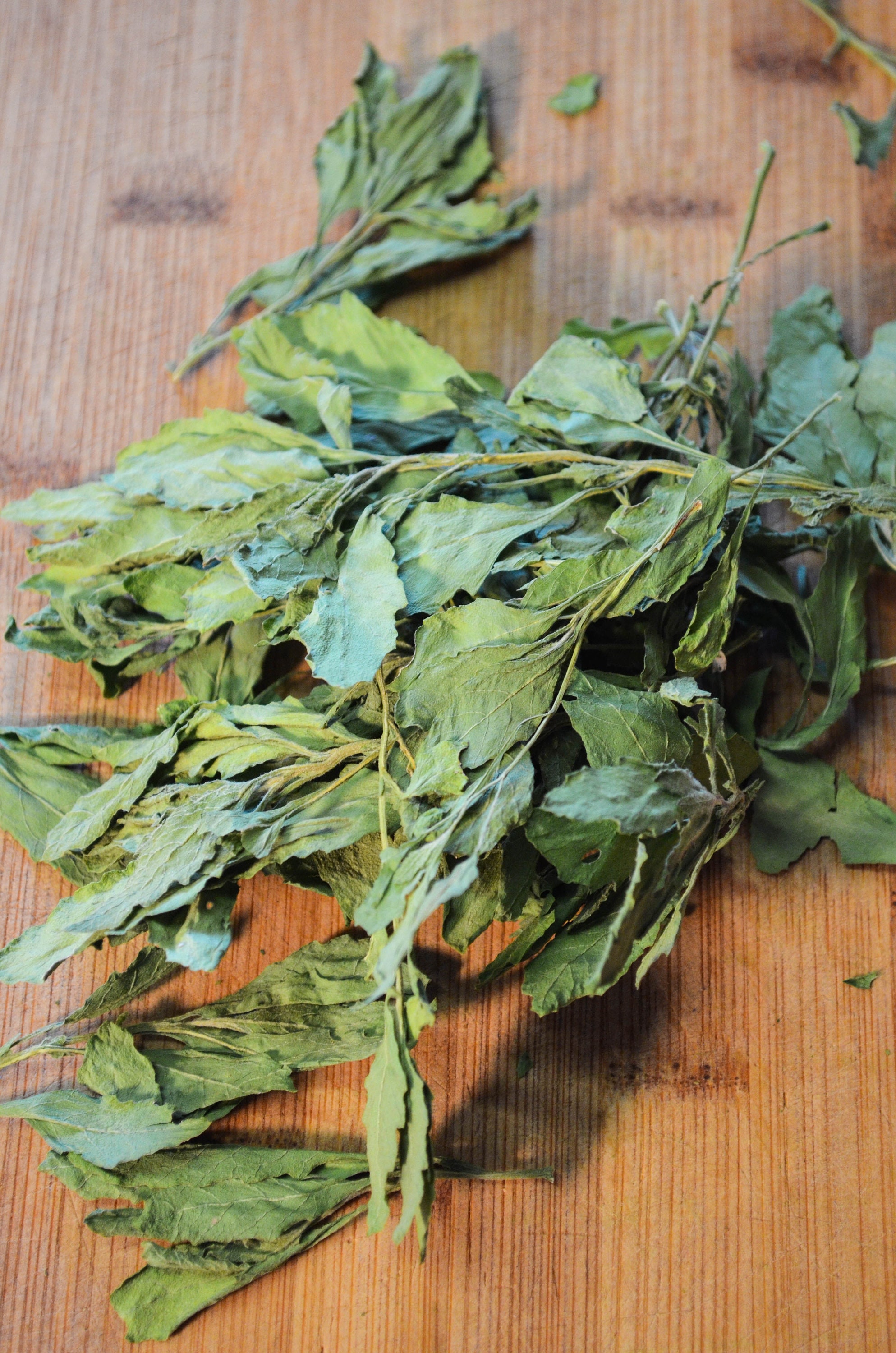 Dried Epazote Certified Organic Dried Herbs Culinary Etsy