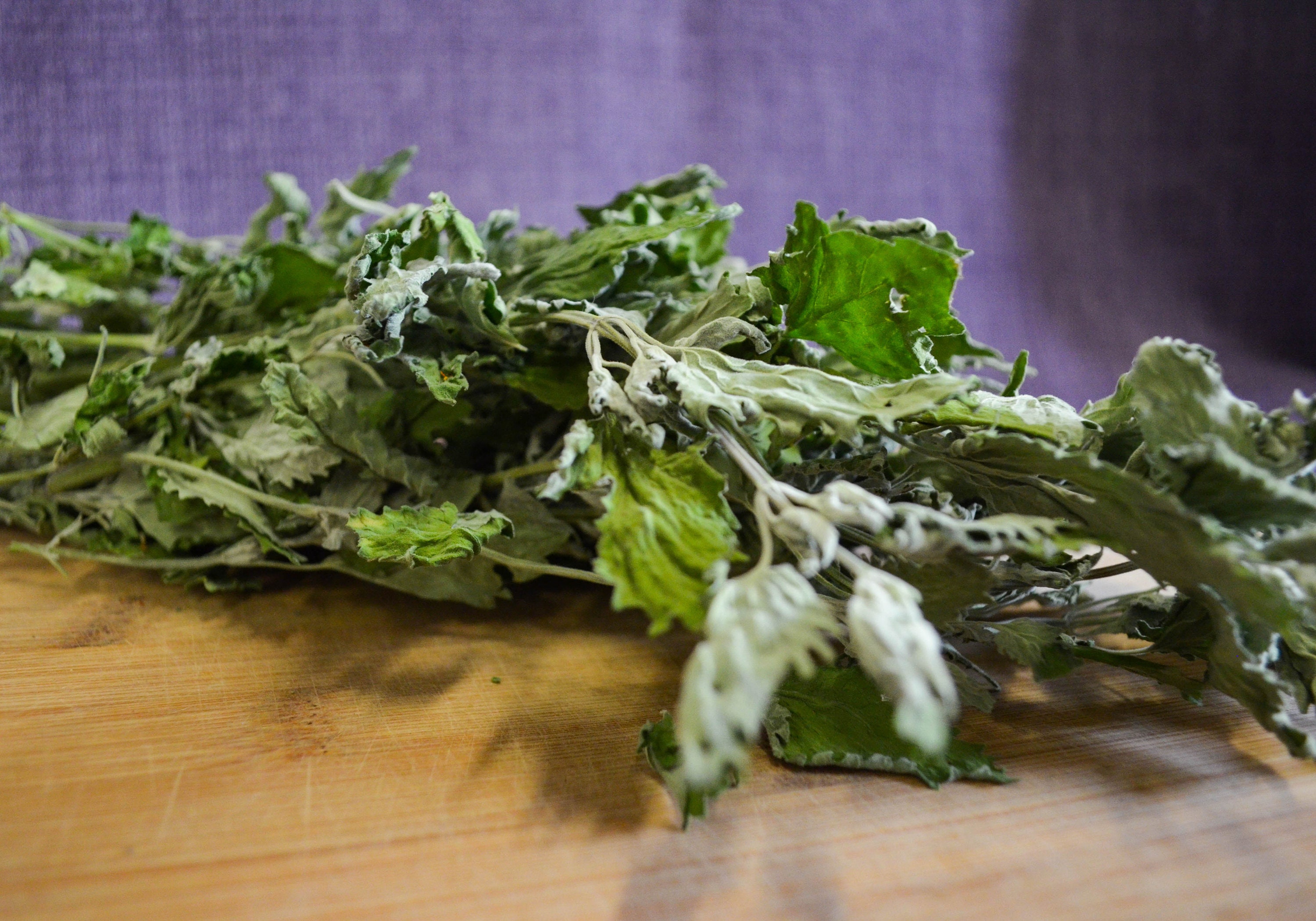 Dried Catnip Certified Organic Catnip Herb Calm Cat Toy Etsy