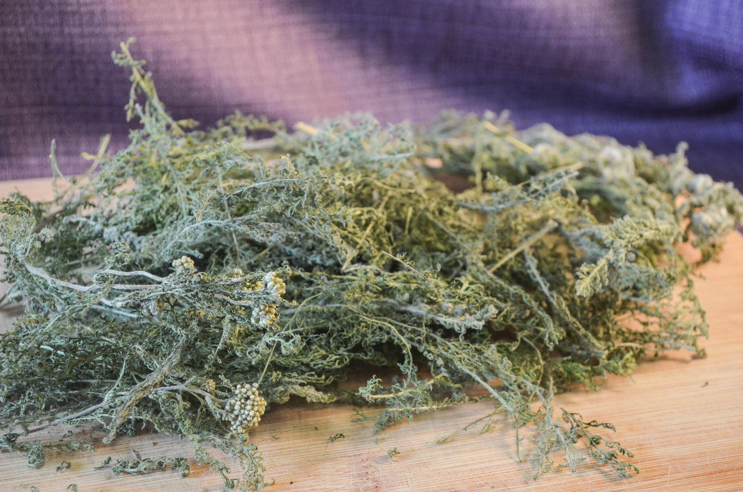 Dried Yarrow Leaf Certified Organic Achillea Millefolium Etsy Singapore