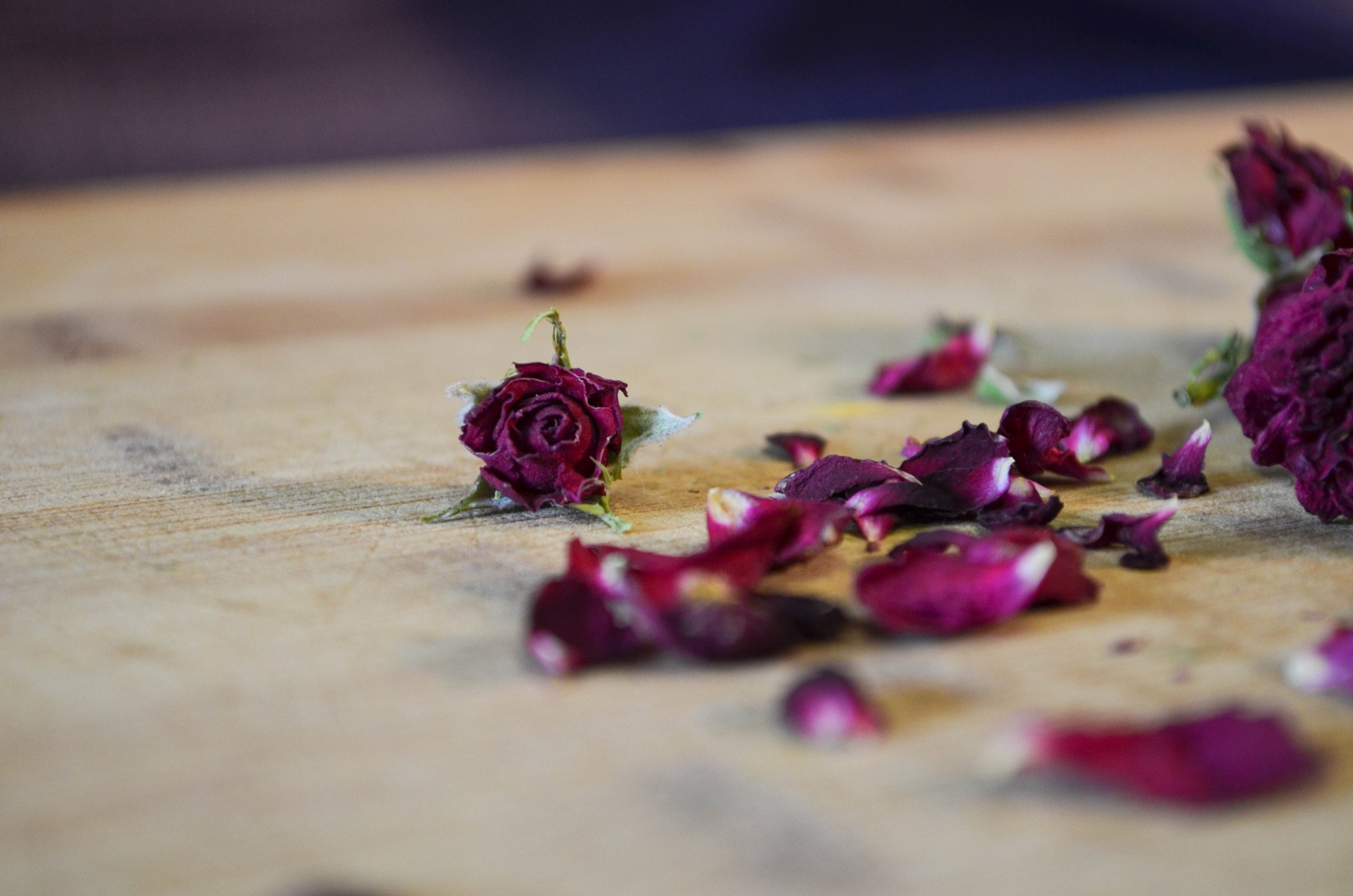 Shop Dried — Purple Sage Farms