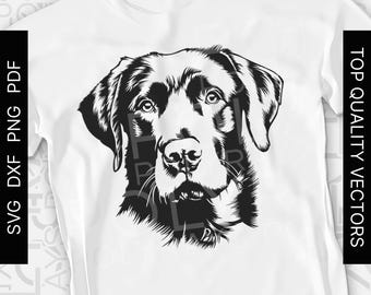Handgezeichnete Labrador SVG, Vektor Schablone (Digitaler Download)