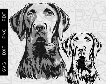Handgezeichneter Labrador (svg, png, dxf, pdf) Digitale Dateien