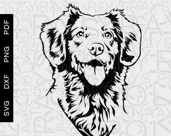 Handgezeichnete Brittany Spaniel (svg, png, dxf, pdf) Digitale Dateien