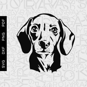 Puppy Dachshund, Dachshund svg, Pet svg, Animalsvg, Dog, Puppy svg, Best Friend svg, Doggo, png, pdf, svg, dxf, Sillhouette, Cutting file