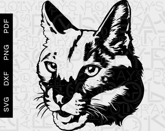Karakal Katze SVG, Wildkatze Silhouette, Schablone geschnitten Datei (Digitale Dateien)