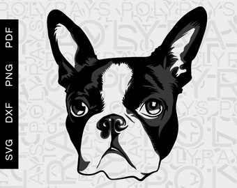Handgezeichneter Boston Terrier (svg, png, pdf, dxf) (Digitaler Download)