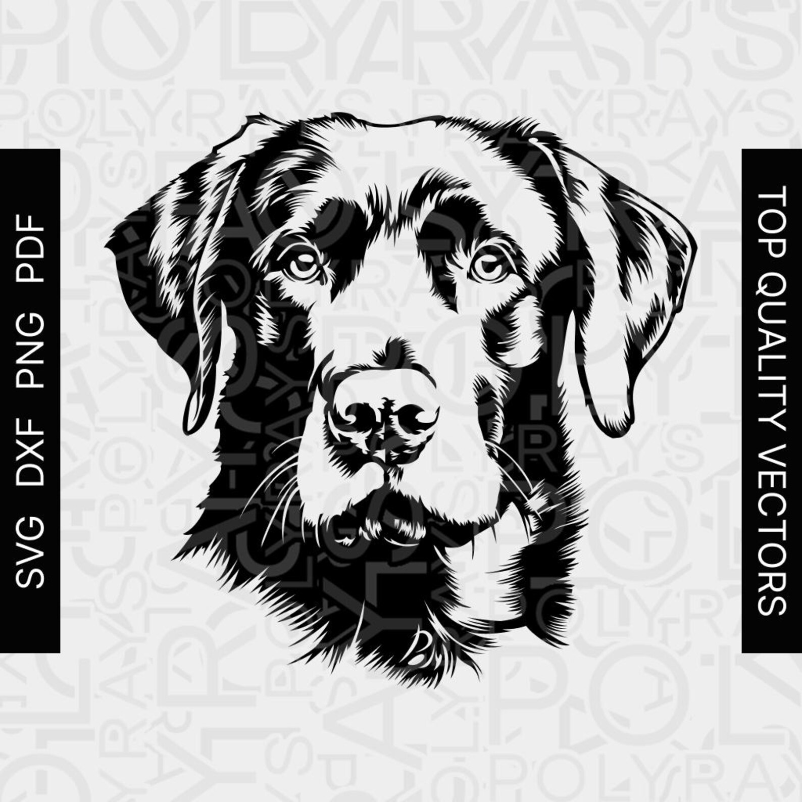 Hand-drawn Labrador SVG, Vector Stencil (digital Download) - Etsy