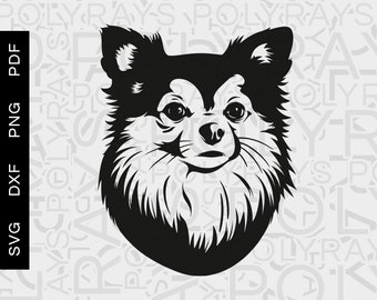 Langhaar Chihuahua SVG, Hündchen Vektor Clipart (digitale Dateien)