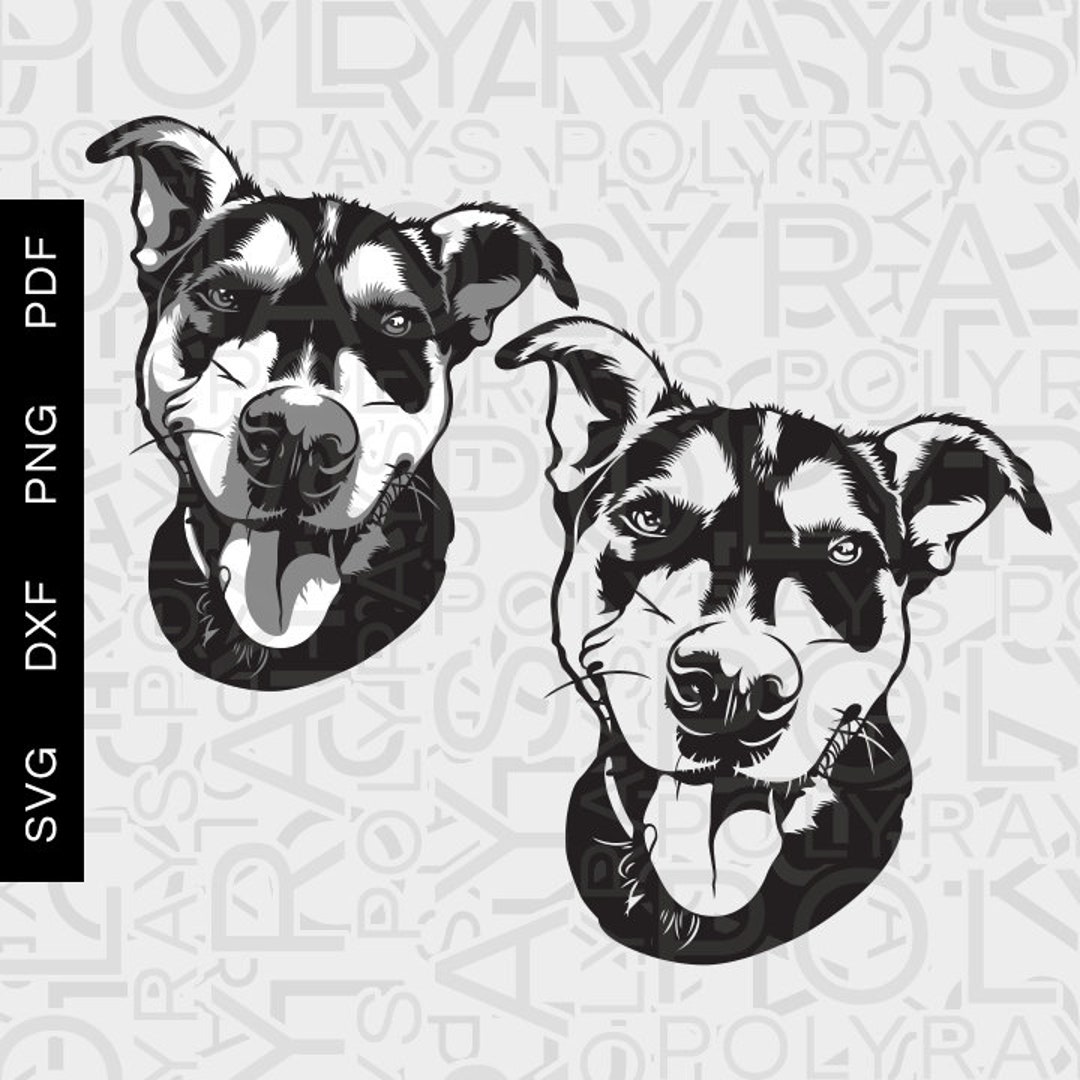 Labrador Svg, Dog Svg Files for Cricut, Download, Animal Laser Cut ...