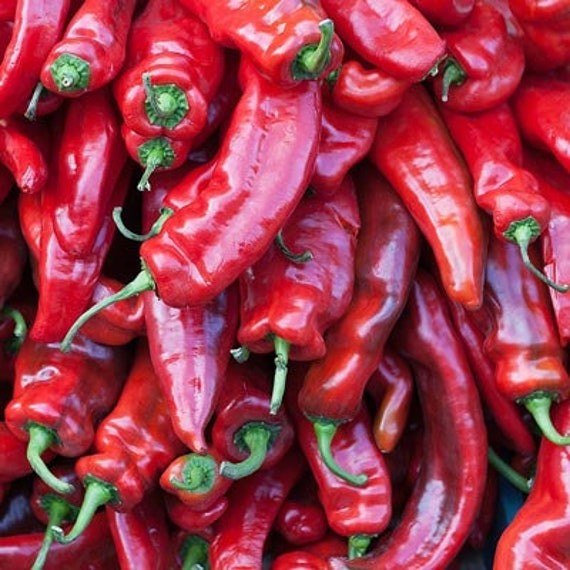 30 Organic Sweet Red Pepperkapia Seeds Etsy