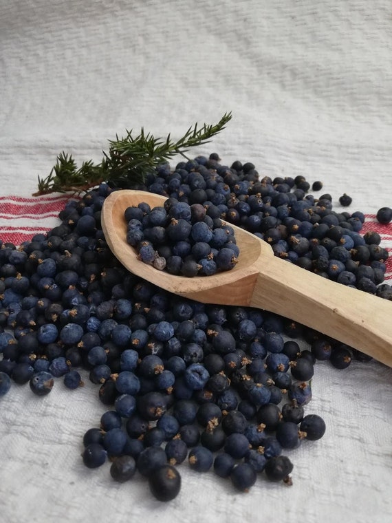 Dried Juniper Berries In Gin And Tonic at Susan Steele blog