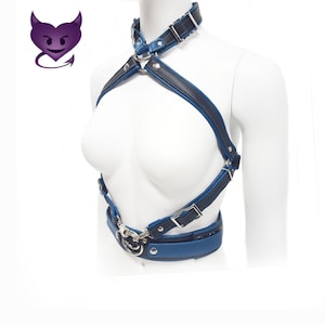 May include: A blue and black leather harness with silver hardware. The harness has a choker, straps that cross in the front, and a belt with a buckle.