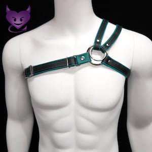 May include: A black and teal leather harness with a silver ring and metal accents.