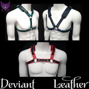Transformer 3 in 1  Harness by Deviant Leather