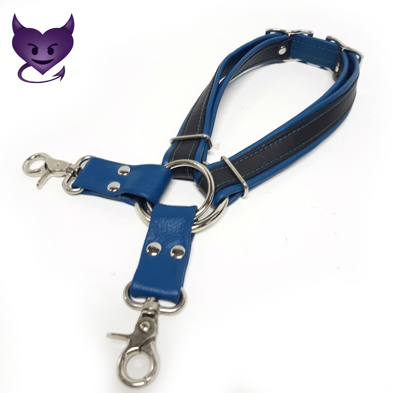 Leg Harness by Deviant Leather image 3