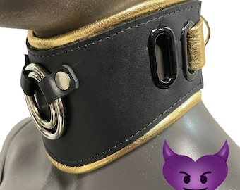 Posture collar by Deviant Leather