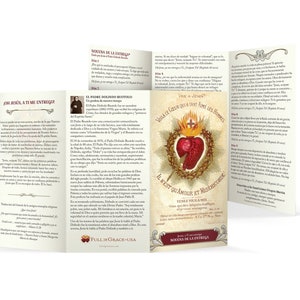 Surrender Novena [SPANISH] Large Font, NEW