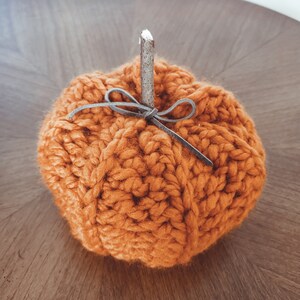 Rustic Pumpkins Crochet Pattern PDF Printable Instant Download image 2