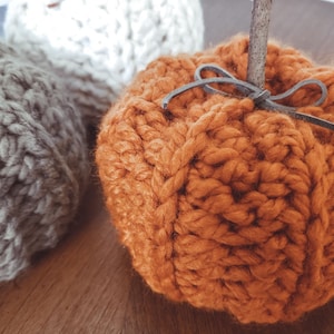 Rustic Pumpkins Crochet Pattern PDF Printable Instant Download image 3