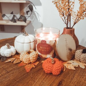 Crochet Mini Pumpkins in various colors with home decor.