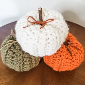 Rustic Pumpkins Crochet Pattern PDF Printable Instant Download image 6