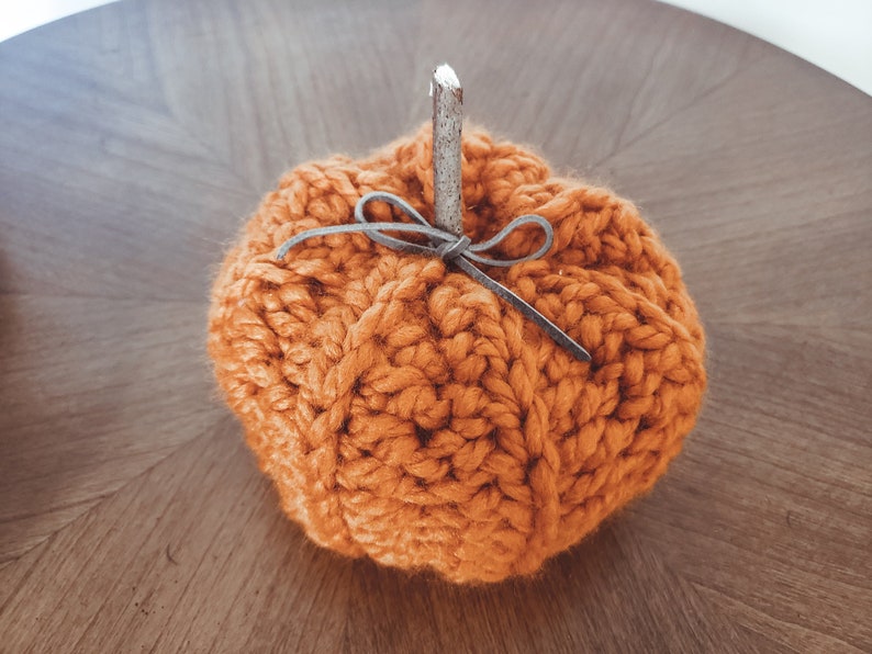 Rustic Pumpkins Crochet Pattern PDF Printable Instant Download image 2