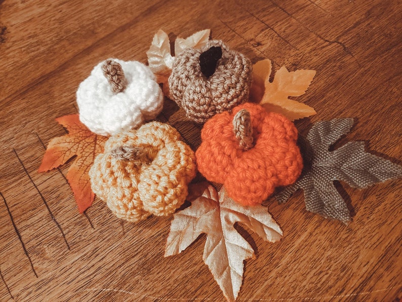 Crochet Mini Pumpkins in various colors with fall leaves.