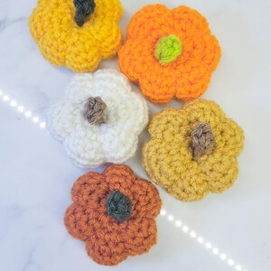 Crochet Mini Pumpkins in various colors.