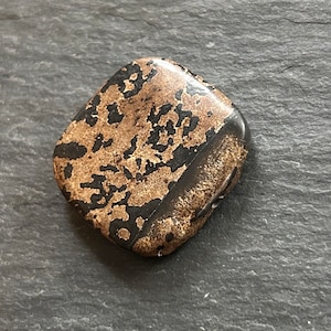 Side Drilled Picture Jasper
