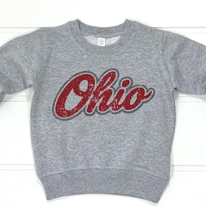 May include: A gray sweatshirt with the word "Ohio" in a distressed red font across the chest. The long-sleeved crew neck top is displayed on a white wooden surface.