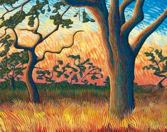 Summit Park Trees