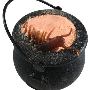 Halloween Bath Bombs Witches Brew Cauldron ORANGE Fizzy & Bubble 7 oz. Bath Bombs with Surprise Scary Toys Inside For Kids! Halloween Gift!