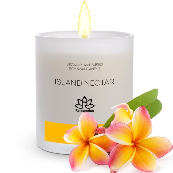 1 Island Nectar 10 oz Soy Wax Candle Luxury Gift for Women and Men in a beautiful premium box - Handmade in the USA