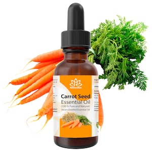 Carrot seed oil - Etsy 日本 Carrot seed oil - Etsy 日本