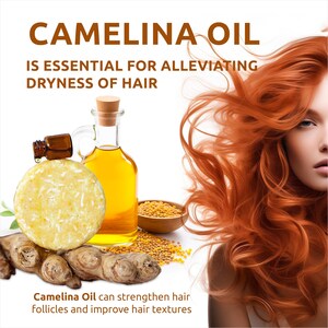 May include: Camelina oil is essential for alleviating dryness of hair. A clear glass bottle of camelina oil, a round bar of soap, and a bowl of mustard seeds are shown. The text "Camelina Oil can strengthen hair follicles and improve hair textures" is also shown.