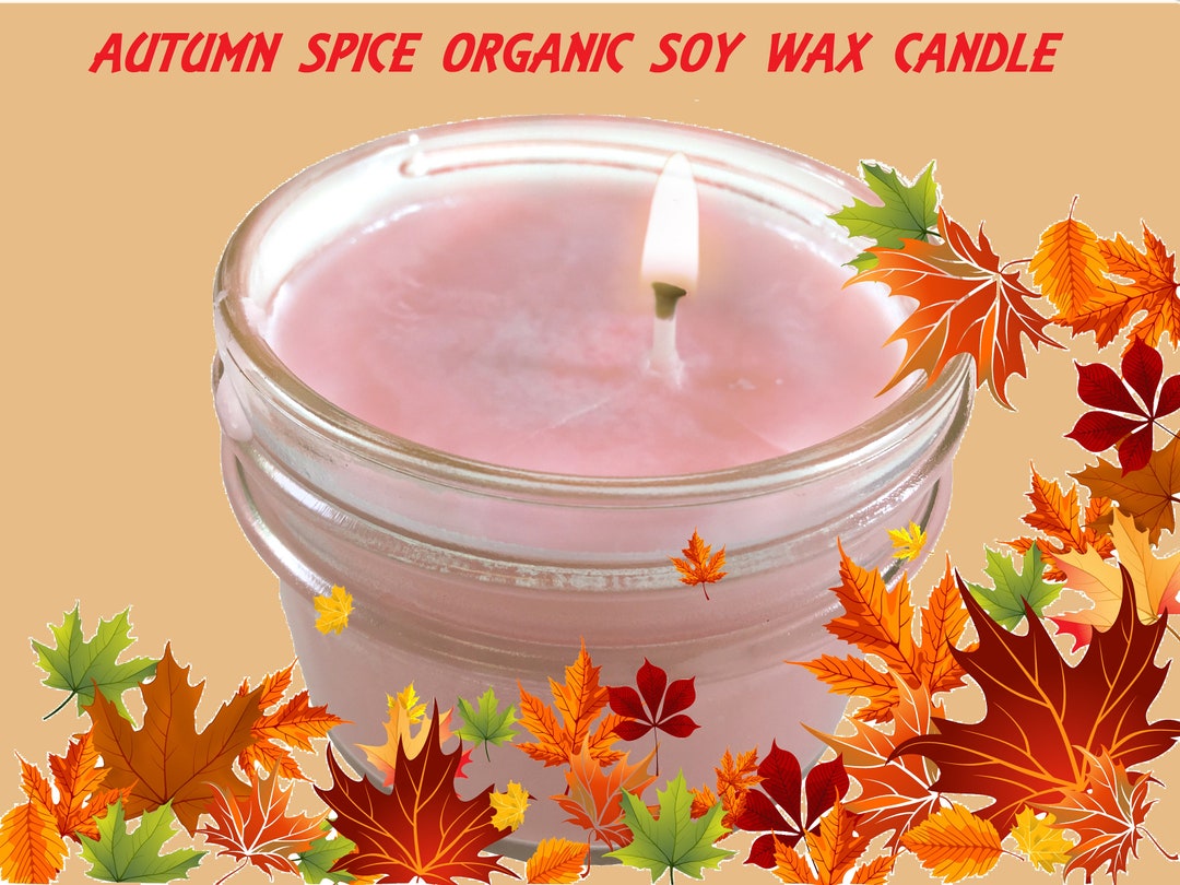 Candle Safe Soy Wax With autumn Spice Aroma Gift for Her/him Fast Shipping 4 Oz Etsy