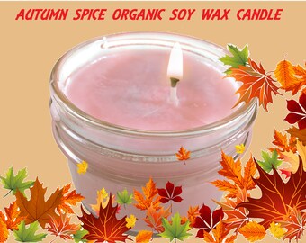 Cire de soja sans danger pour les bougies avec arôme « Autumn Spice » Cadeau pour elle / lui expédition rapide - (4 oz)