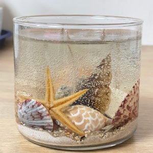 XL Gel Candle with Ocean Rain Aroma & Real Sea Shells and Sand from Florida - Great Gift For Holidays - Handmade in USA