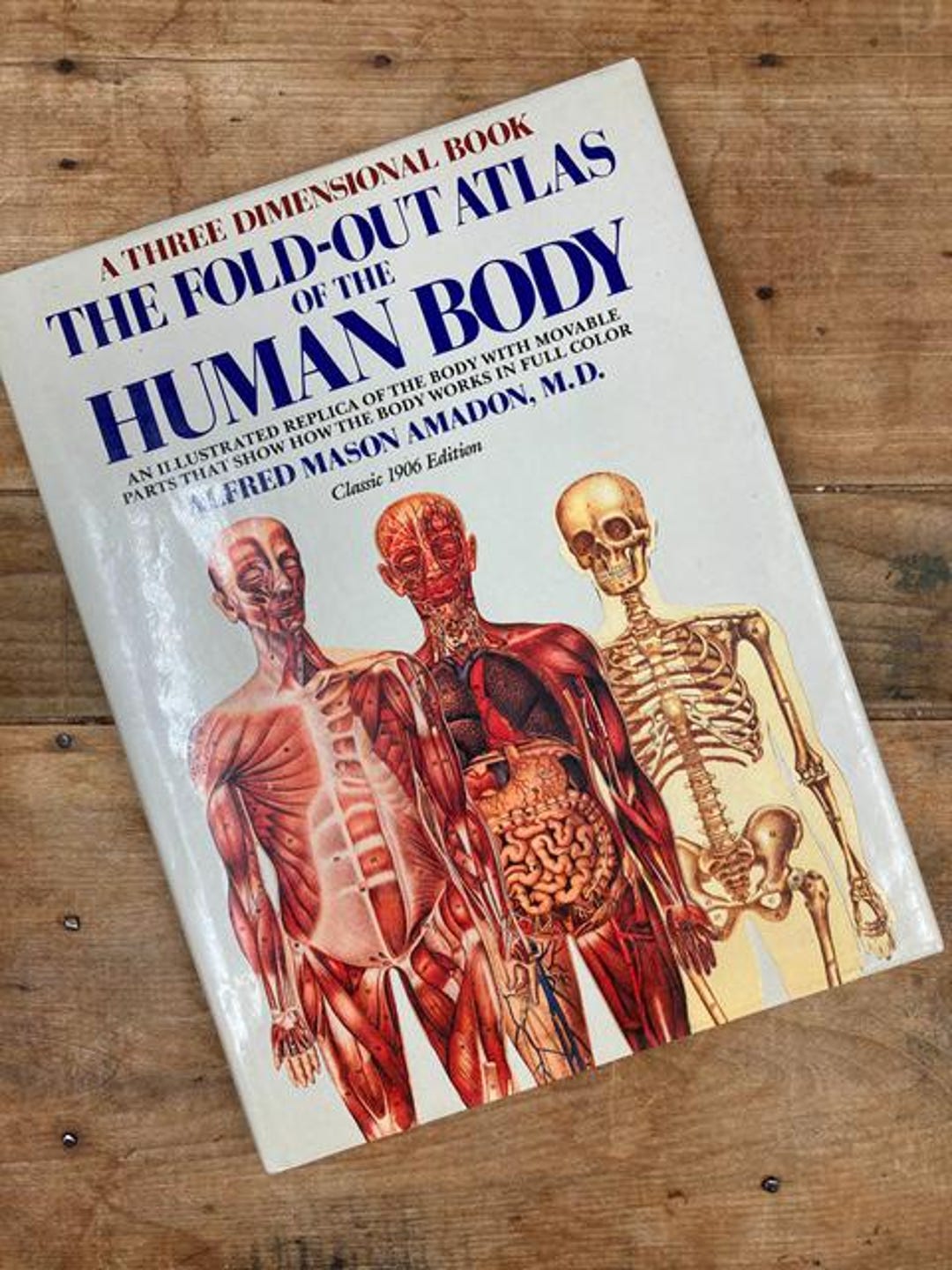 Vintage 1906 Fold-out Atlas of the Human Body: Three-dimensional