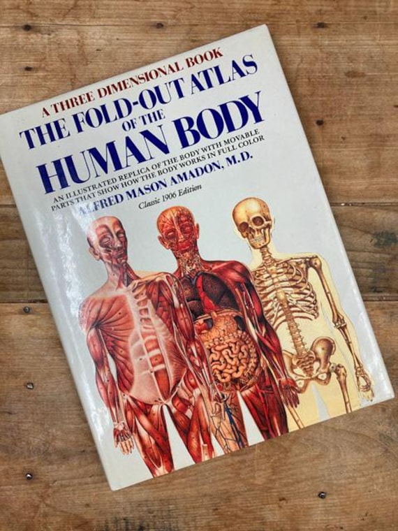 Vintage 1906 Fold-out Atlas of the Human Body: Three-dimensional