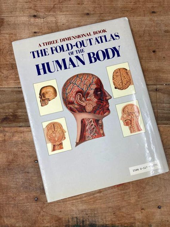 Vintage 1906 Fold-out Atlas of the Human Body: Three-dimensional