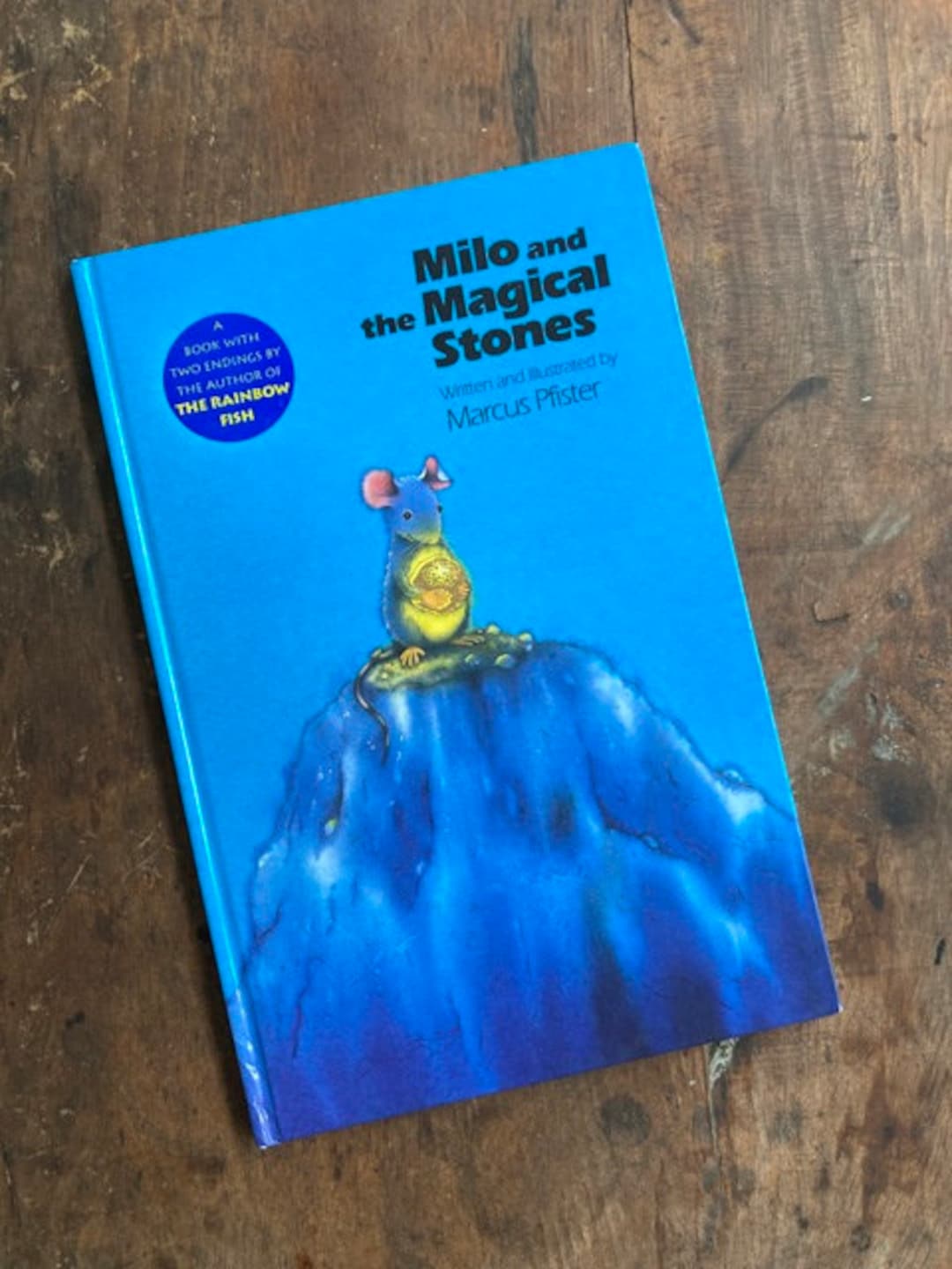 Milo and the Magical Stones Hardcover Book by Marcus Pfister - Etsy