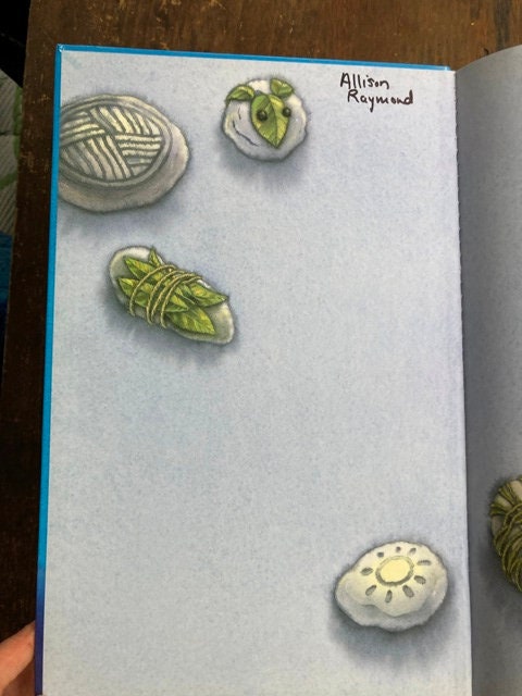 Milo and the Magical Stones Hardcover Book by Marcus Pfister - Etsy