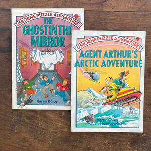 The Ghost In The Mirror by Karen Dolby & Agent Arthur's Arctic Adventure by Martin Oliver Usborne Puzzle Adventures Book Set